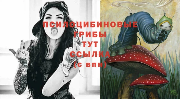 2c-b Баксан