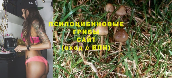 a pvp Беломорск