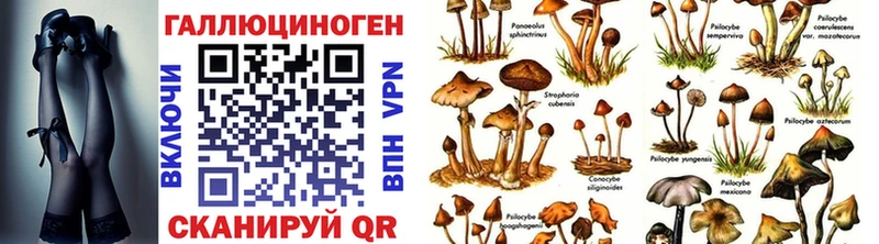Галлюциногенные грибы Psilocybine cubensis  Ершов 